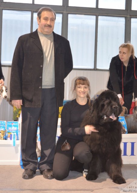 Фотография № 87272