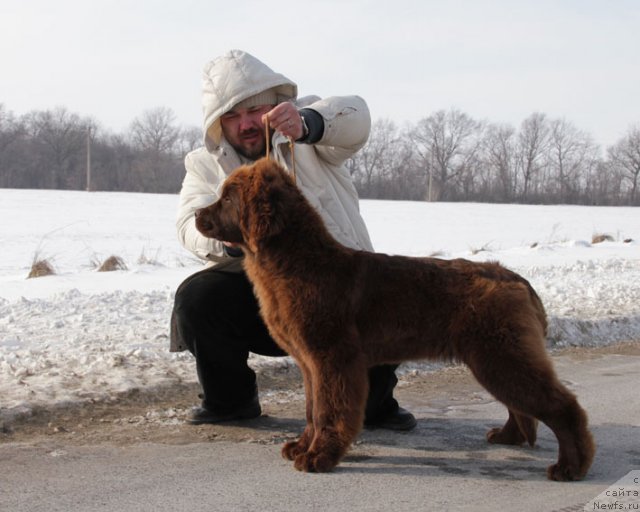 Фотография № 87285