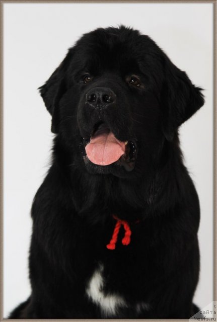 Фотография № 87287