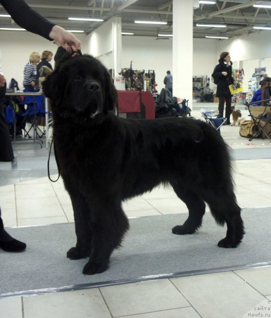 Фотография № 87291