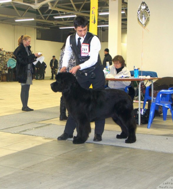 Фотография № 87292