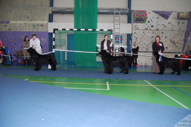 Фотография № 87299