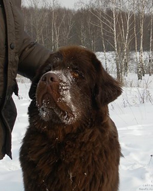 Фотография № 87301