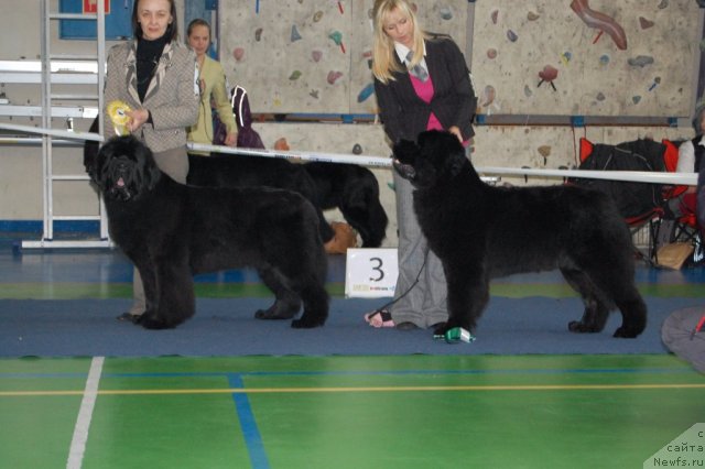 Фотография № 87306