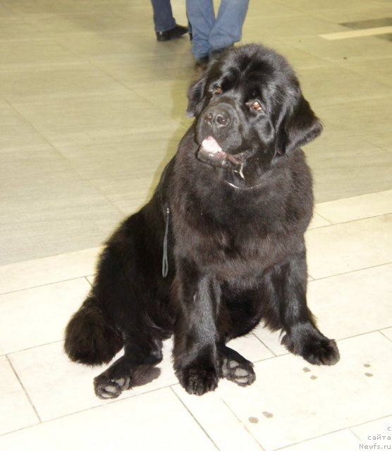 Фотография № 87314