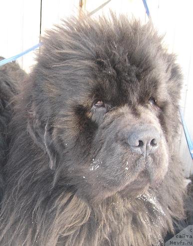 Фотография № 87330