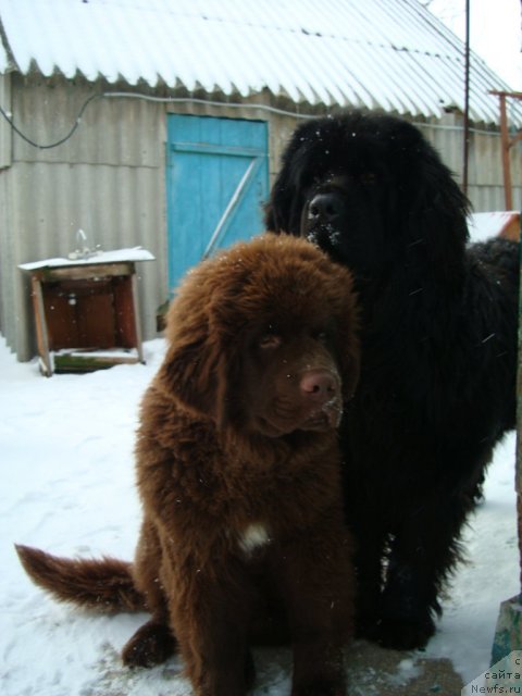 Фотография № 87351