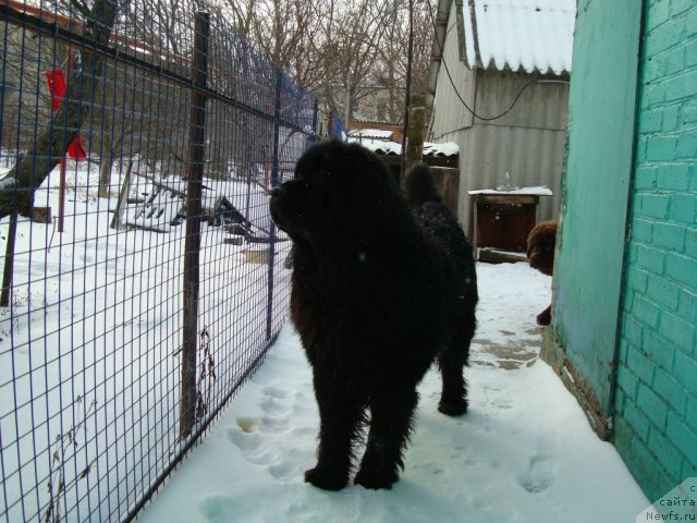 Фотография № 87352