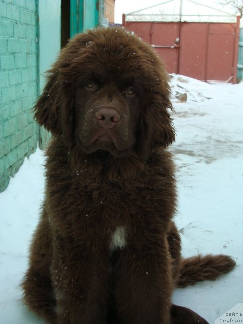 Фотография № 87353