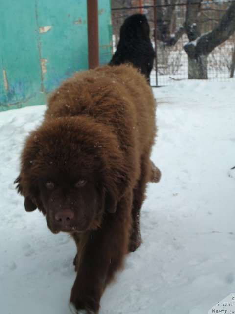 Фотография № 87364