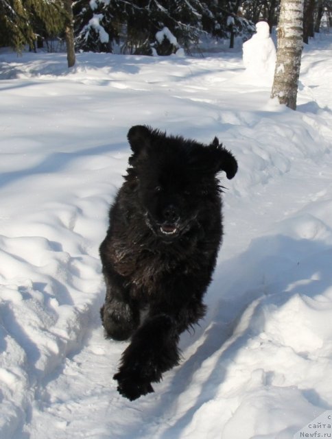 Фотография № 87396