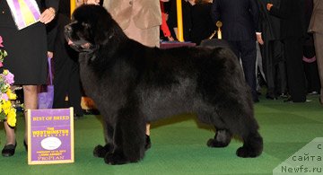 Фотография № 87399