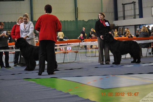 Фотография № 87405