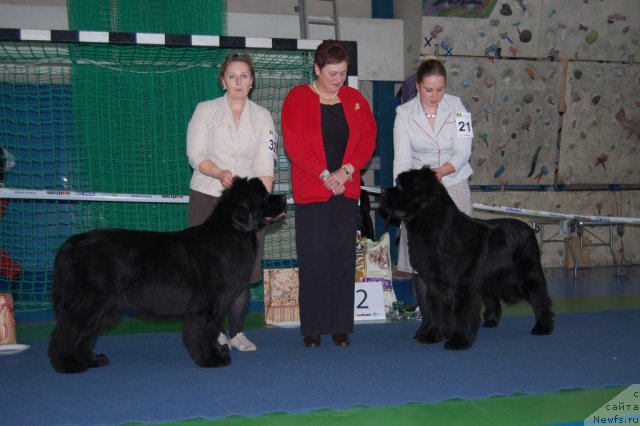 Фотография № 87409