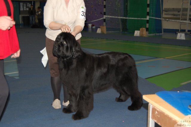 Фотография № 87411