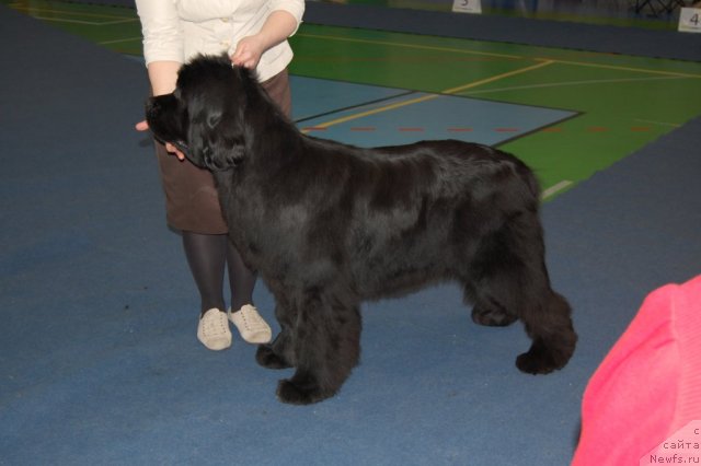 Фотография № 87412