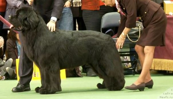 Фотография № 87422