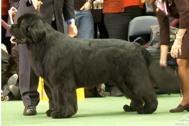 Фотография № 87426