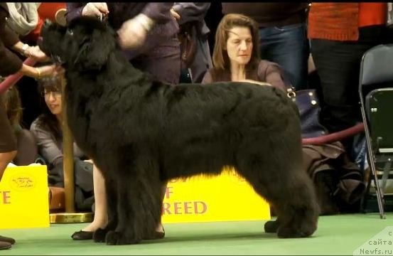 Фотография № 87428