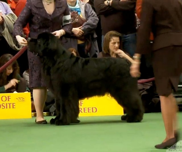 Фотография № 87429