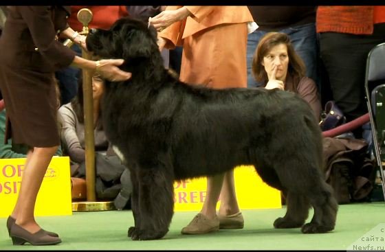 Фотография № 87433