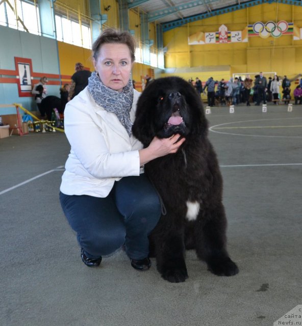 Фото: Like Father Like Son Midnight Bear aka Fly