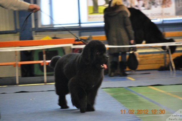 Фотография № 87467