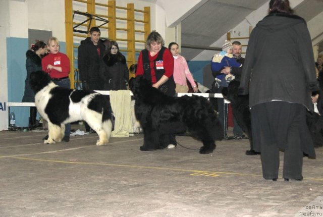 Фотография № 87506