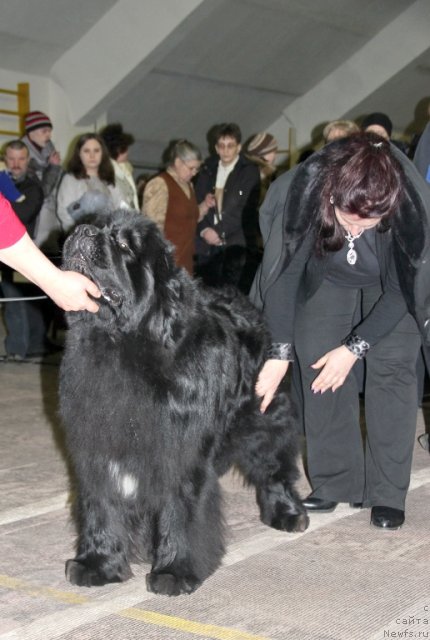 Фотография № 87507