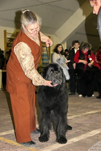 Фотография № 87510