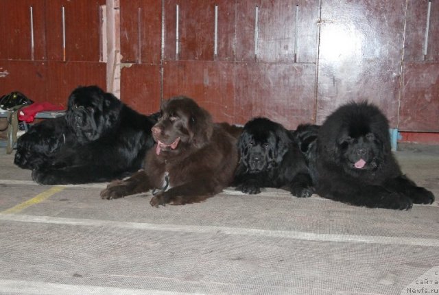 Фотография № 87511