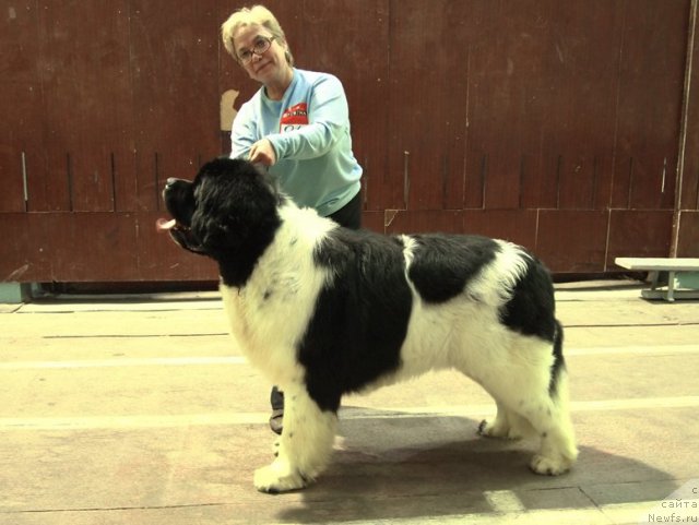 Фотография № 87528