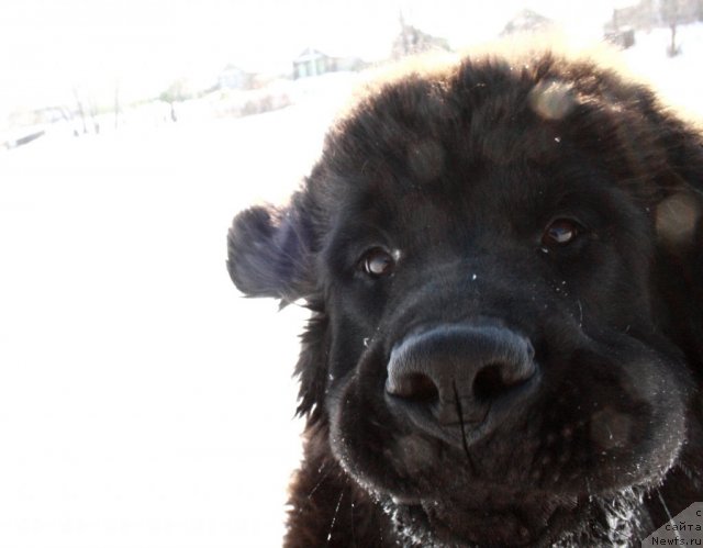 Фотография № 87534