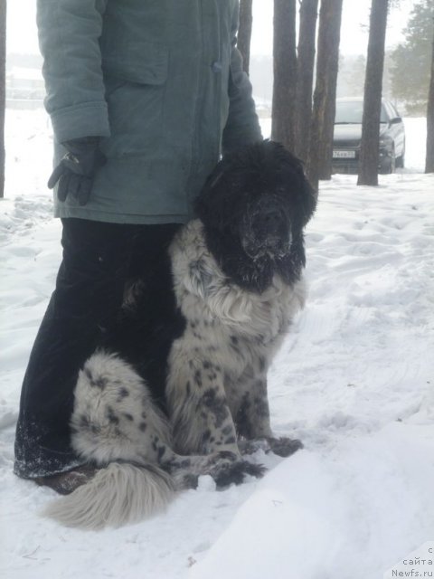 Фотография № 87536