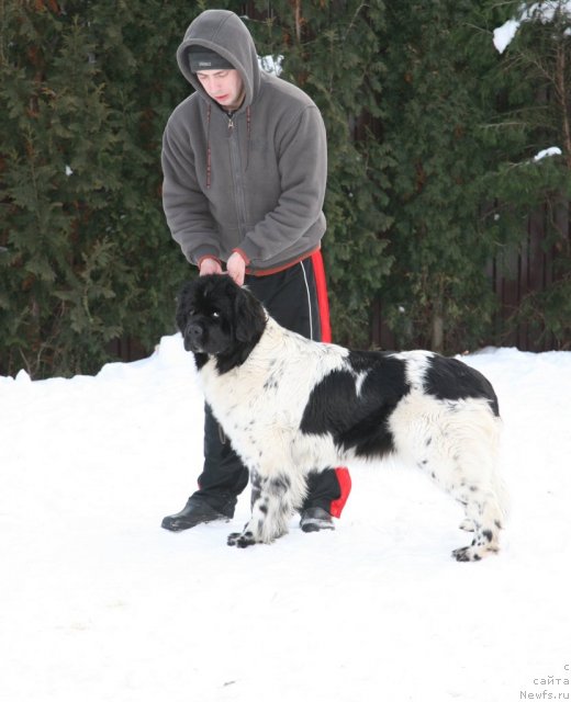 Фотография № 87537