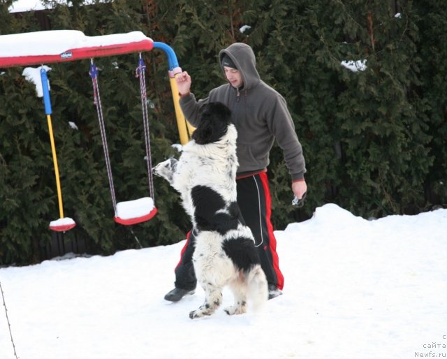 Фотография № 87540