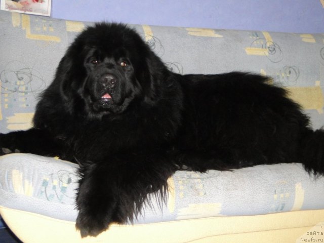 Фотография № 87558