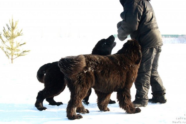 Фотография № 87598