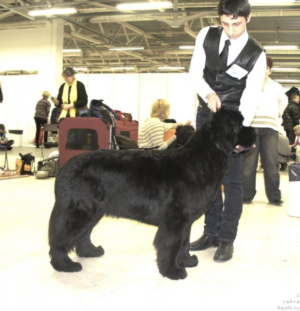 Фотография № 87630