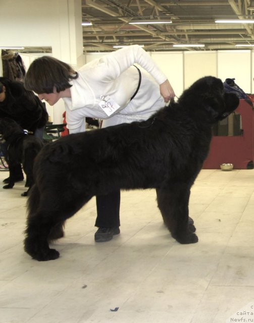 Фотография № 87632