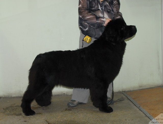 Фотография № 87696