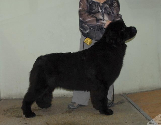 Фотография № 87697