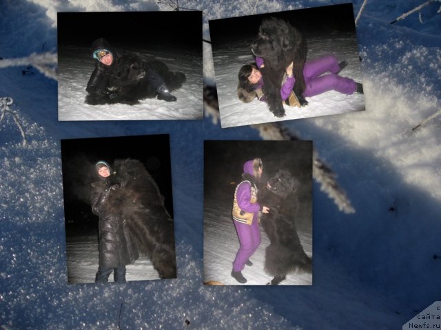 Фото: ньюфаундленд Balustar de Mantal'chino (Балустар де Мантальчино), моя приятельница Катерина, Natal'ya Avenirova (Наталья Авенирова)