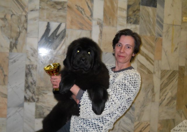 Фотография № 87736