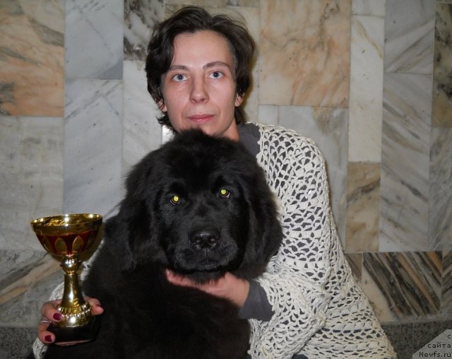 Фотография № 87737