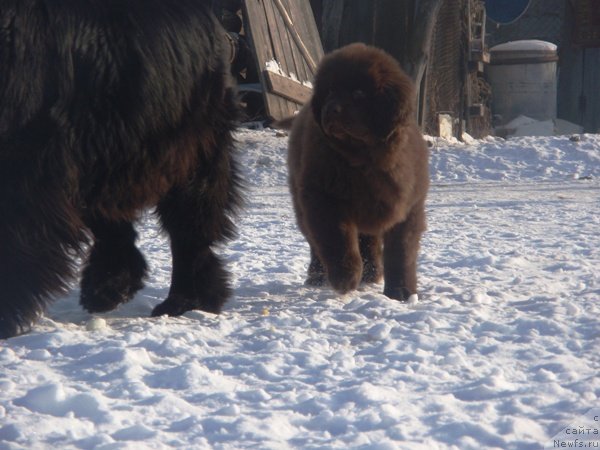 Фотография № 87751