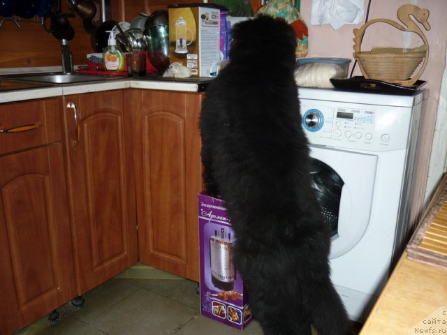 Фото: Sergey Krasnov (Сергей Краснов)