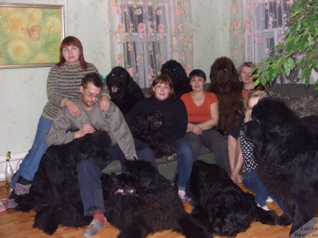 Фотография № 87763