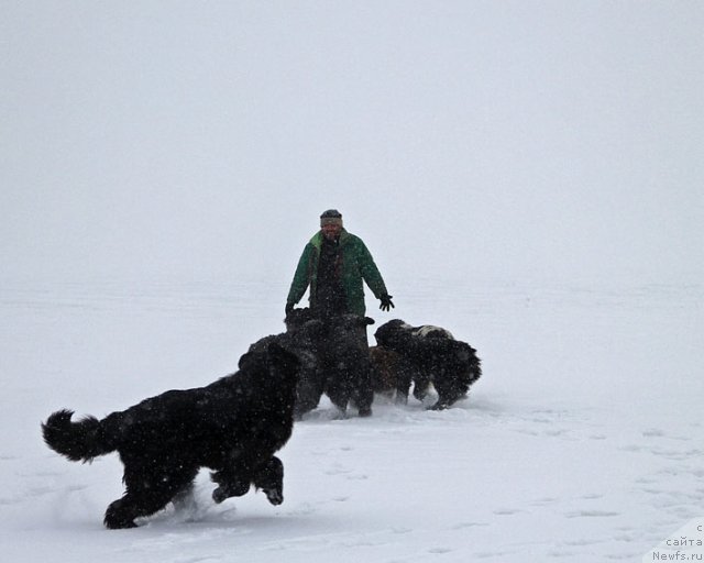 Фотография № 87765