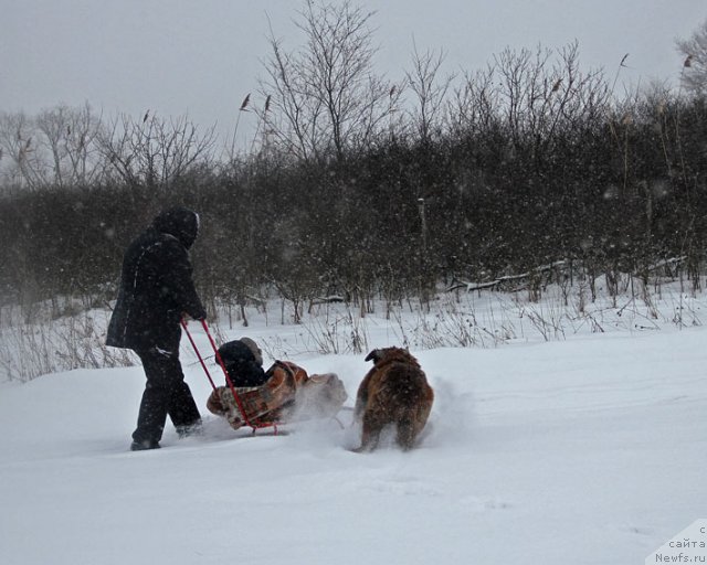 Фотография № 87766